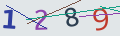 verifycode